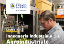 Corso di Laurea Triennale in Ingegneria Industriale, curriculum Agroindustriale