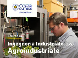 Corso di Laurea Triennale in Ingegneria Industriale, curriculum Agroindustriale